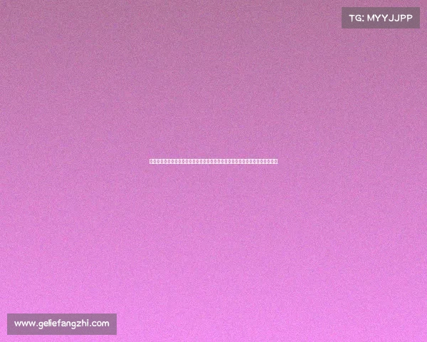 上海奉贤星火教练场、奉贤星火国际赛车盛会激情开赛速度梦想全球共享荣耀时刻